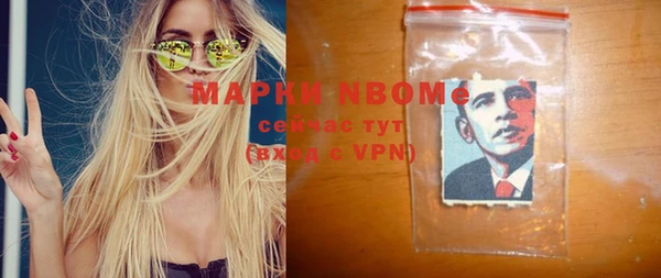 стаф Алзамай