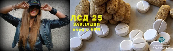 стаф Алзамай