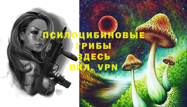 стаф Алзамай