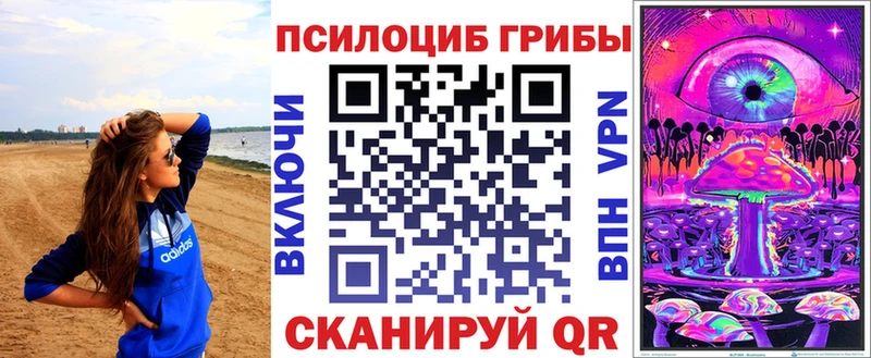 где продают   Зеленоградск  shop наркотические препараты  Псилоцибиновые грибы MAGIC MUSHROOMS 